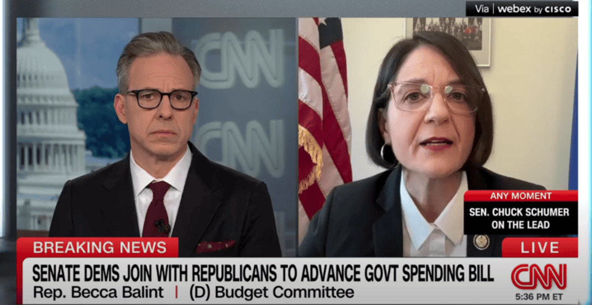 Senate Dems get dressed down on CNN for failing 'test' not to 'blink' and 'caving' to MAGA