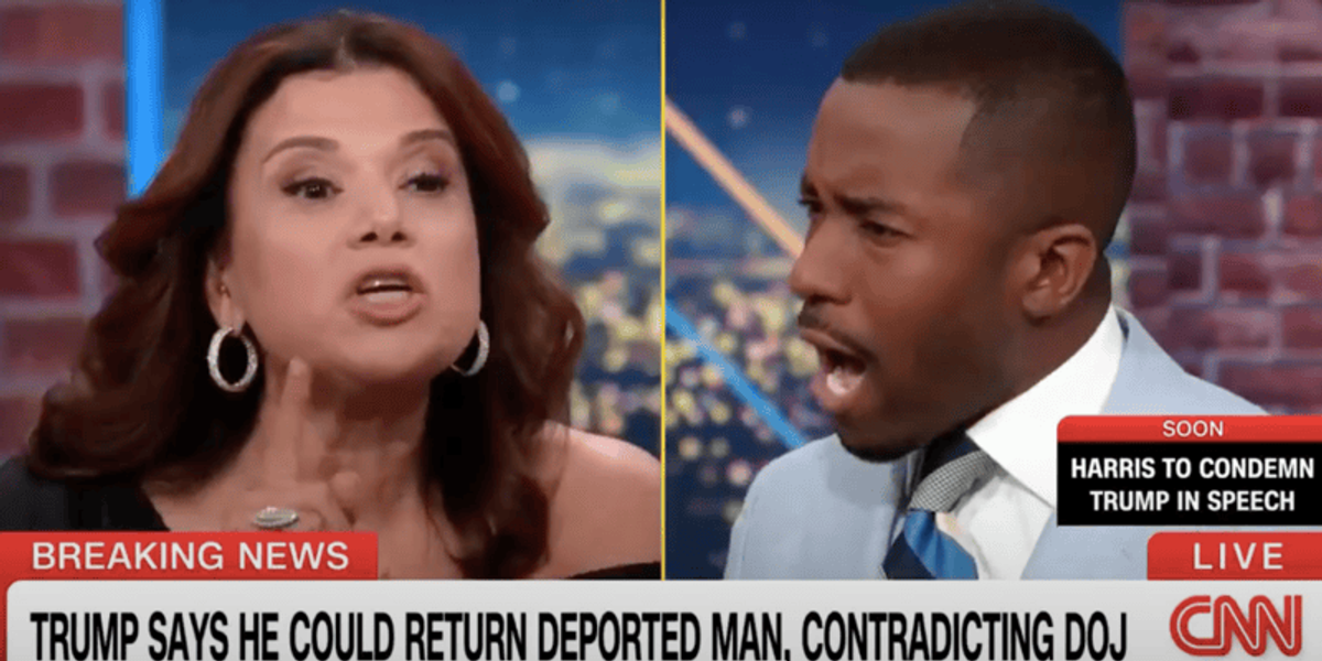 'Do you really want to go there!': CNN panel melts down as two Republicans clash over race