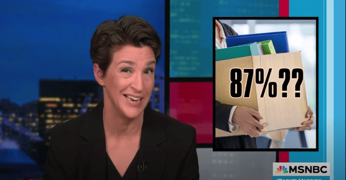 'Kafkaesque nightmare': MSNBC's Rachel Maddow tears into latest DOGE move