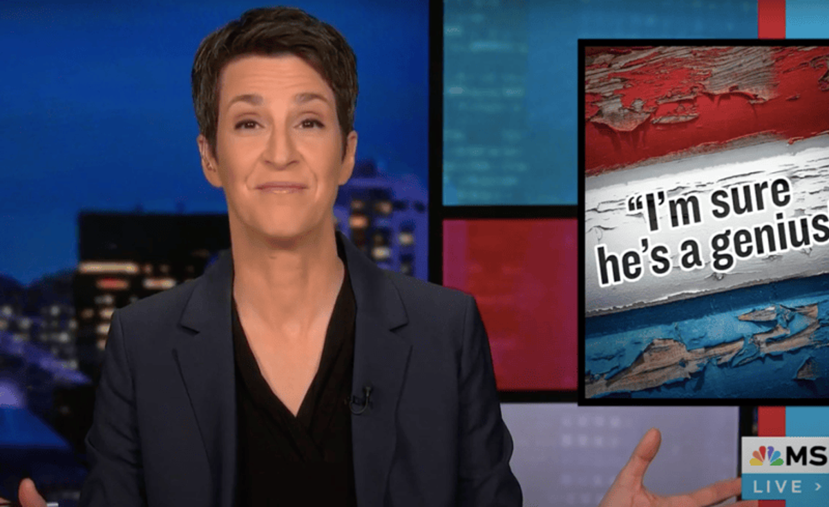 'Screams his freaking head off!' MSNBC's Rachel Maddow floored by Dem's searing takedown