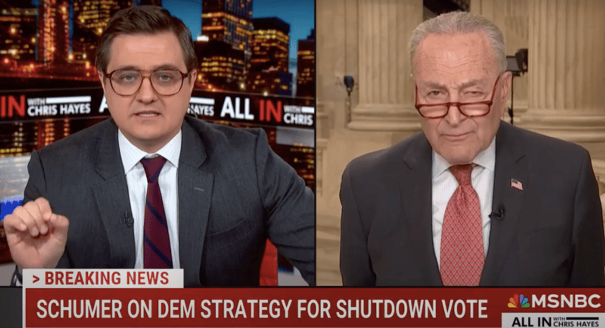 'They're saying you're not fighting!' MSNBC host presses top Dem after break with party