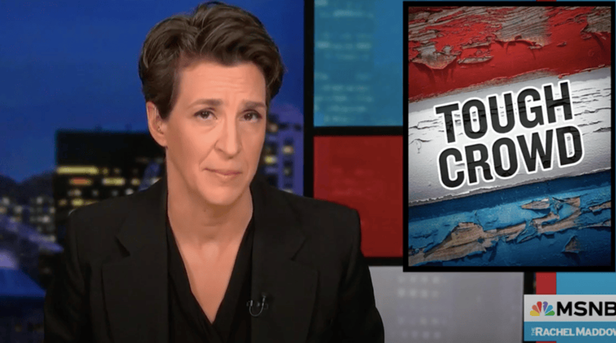 'You numskulls!' MSNBC's Rachel Maddow unloads over Trump's 'transgender mice' claim