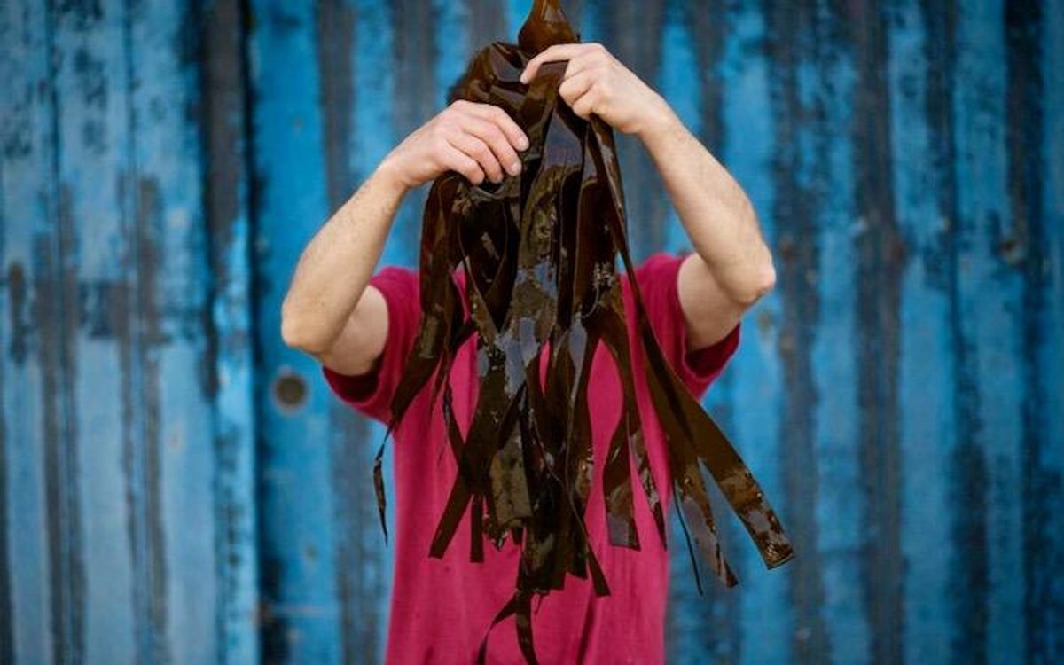 Oceans of opportunity: How seaweed can help fight climate change