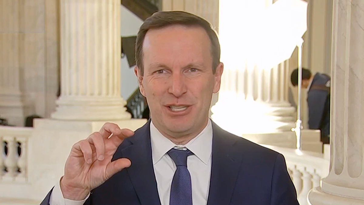 'Sounds like a con job': Senator blasts DOGE plan — and suggests going after Elon Musk