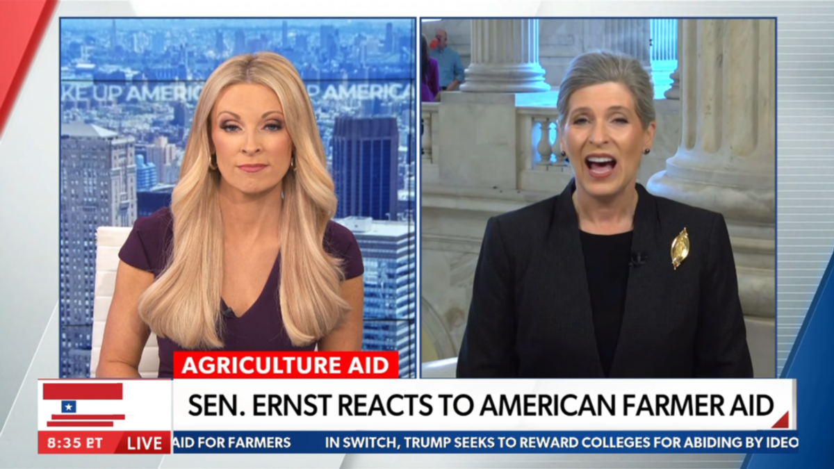'We've lost a lot of contracts': GOP senator admits Trump trade policy now hurting farmers
