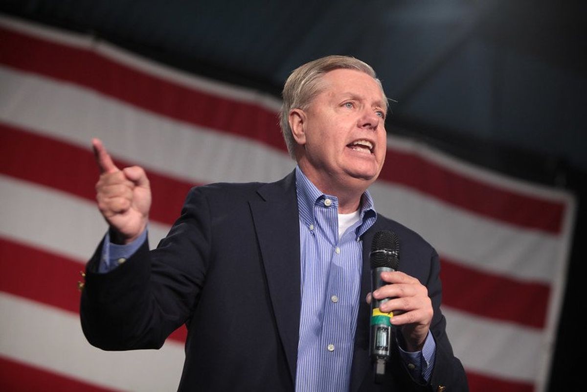 MAGA salivates at prospect of Nancy Mace taking down 'double-talking RINO' Lindsey Graham