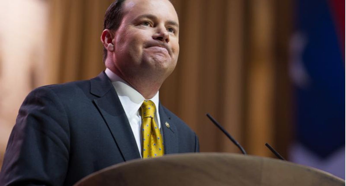Mike Lee busted by former Ted Cruz staffer for lying about his role in Trump's election scheme