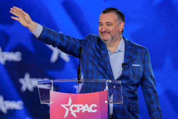 TMZ roasts Ted Cruz over Florida trip during shutdown: 'It ain't Cancun, but it's close'