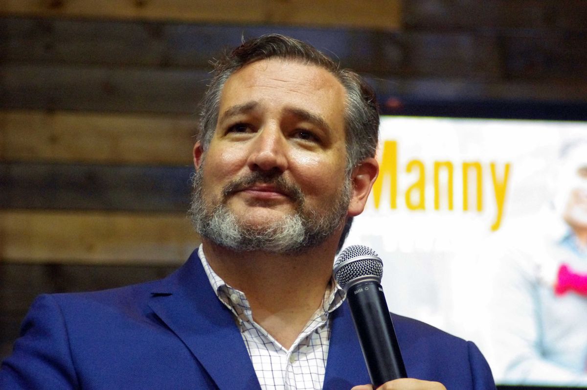 Ted Cruz laying groundwork for 2028 presidential bid: GOP strategists