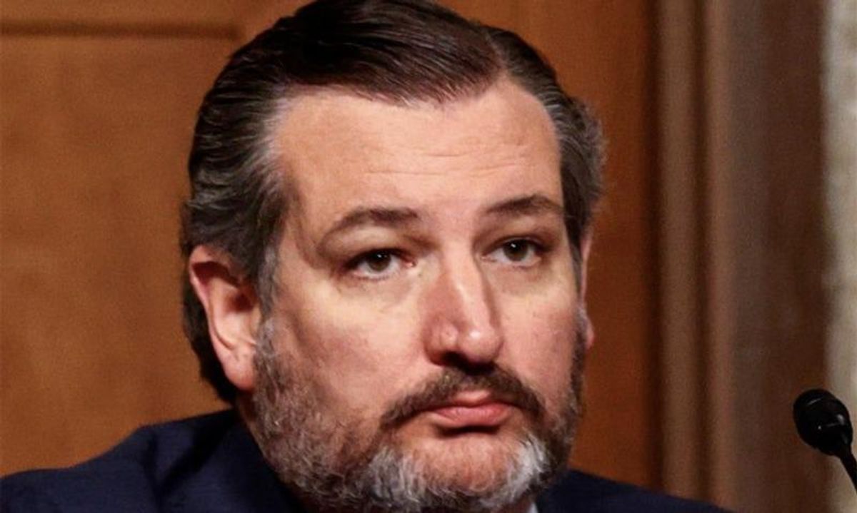 Ted Cruz smacked down for wasting time in 'testy' exchange during COVID bill negotiations: report