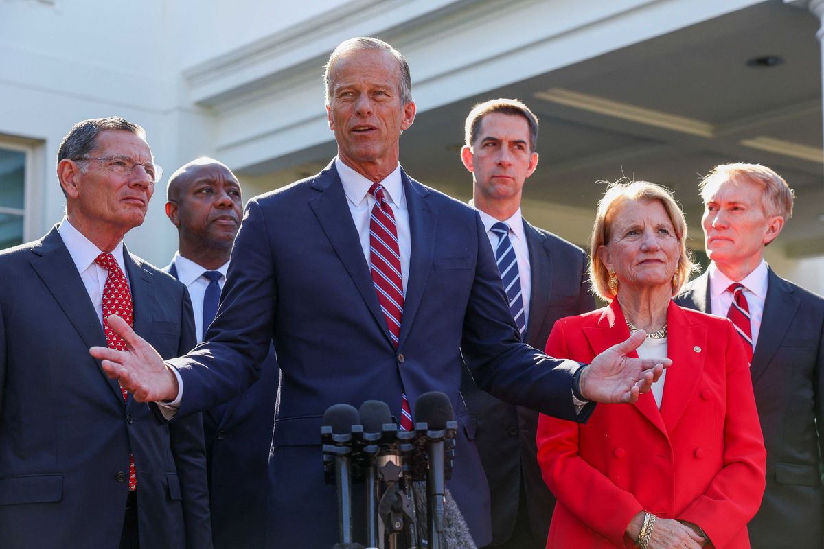 'Performative rage': Analyst scoffs at Senate GOP leader's shocking outburst at Dems