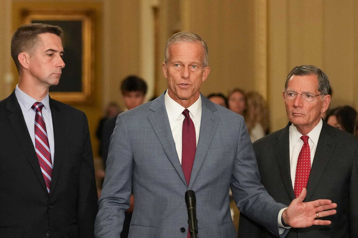 'I wish it were that easy': Republican senator swats down Trump threats