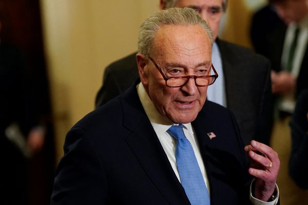 'Throw down!': Dem representative slams Chuck Schumer for showing 'weakness' to Trump