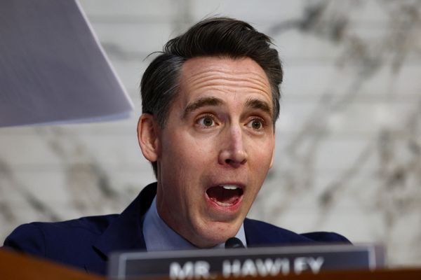 'Peaked with the fist pump': Hometown newspaper ponders Josh Hawley's fall from spotlight