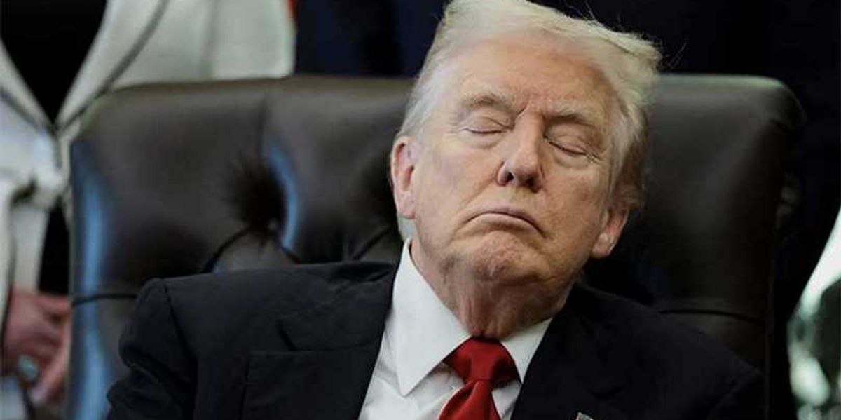Trump's mental collapse will make somebody very rich