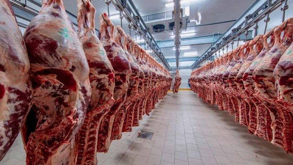 'Horrendous': Company accused of employing dozens of children in slaughterhouses