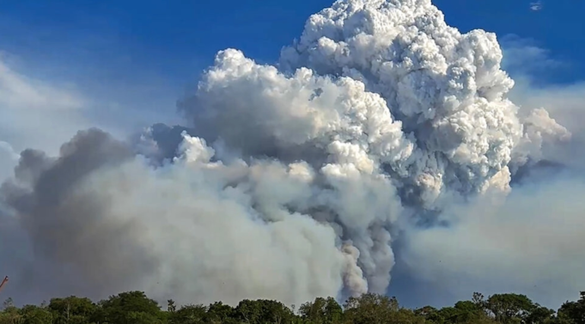 'Out of control' fires endanger wildlife in Brazilian wetlands