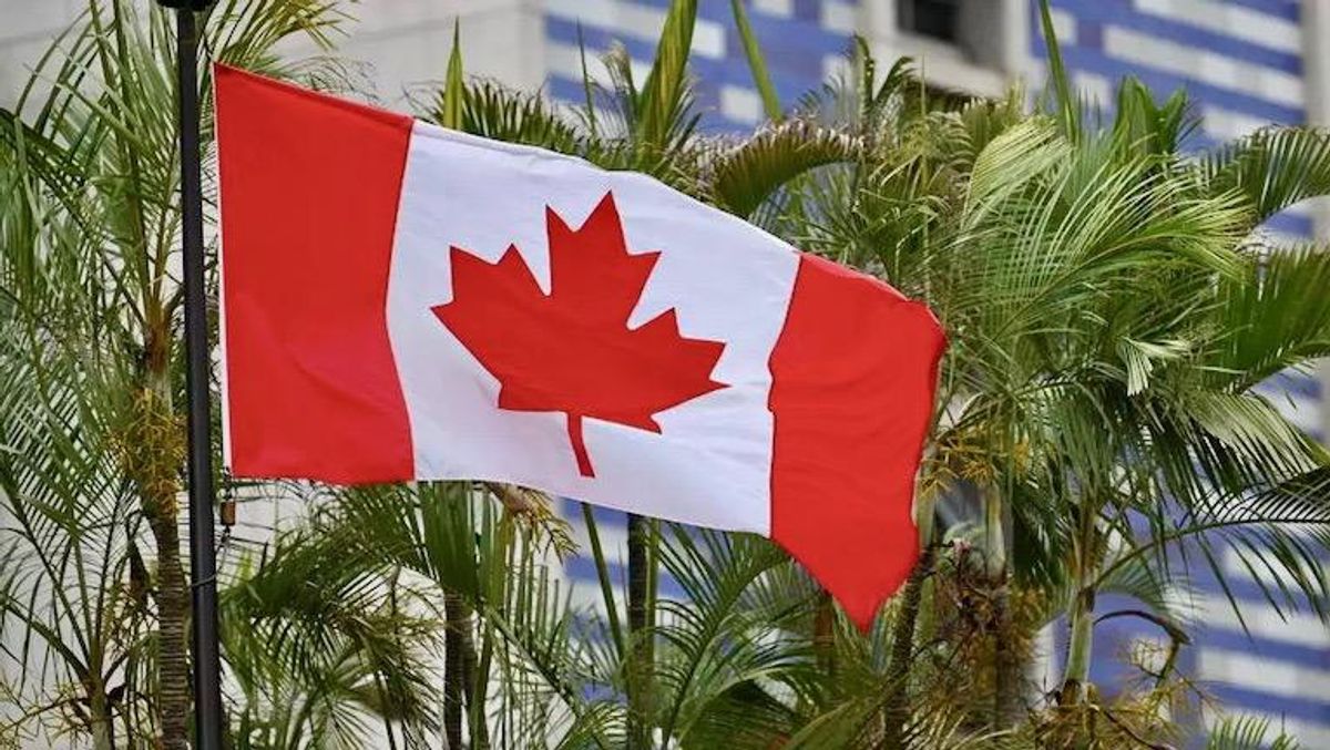 How the ‘freedom convoy’ has co-opted the Canadian flag and other symbols