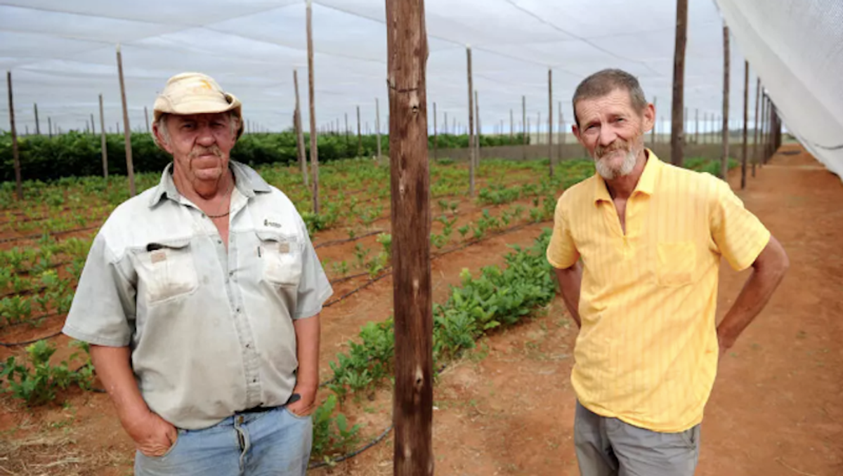 White South Africans clamor for U.S. resettlement after Trump order