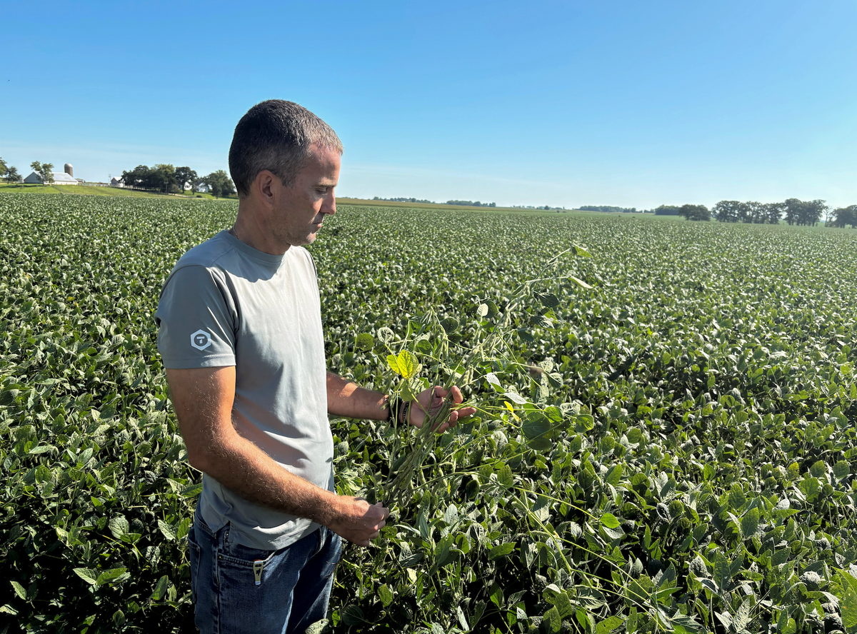 Soybean farmer