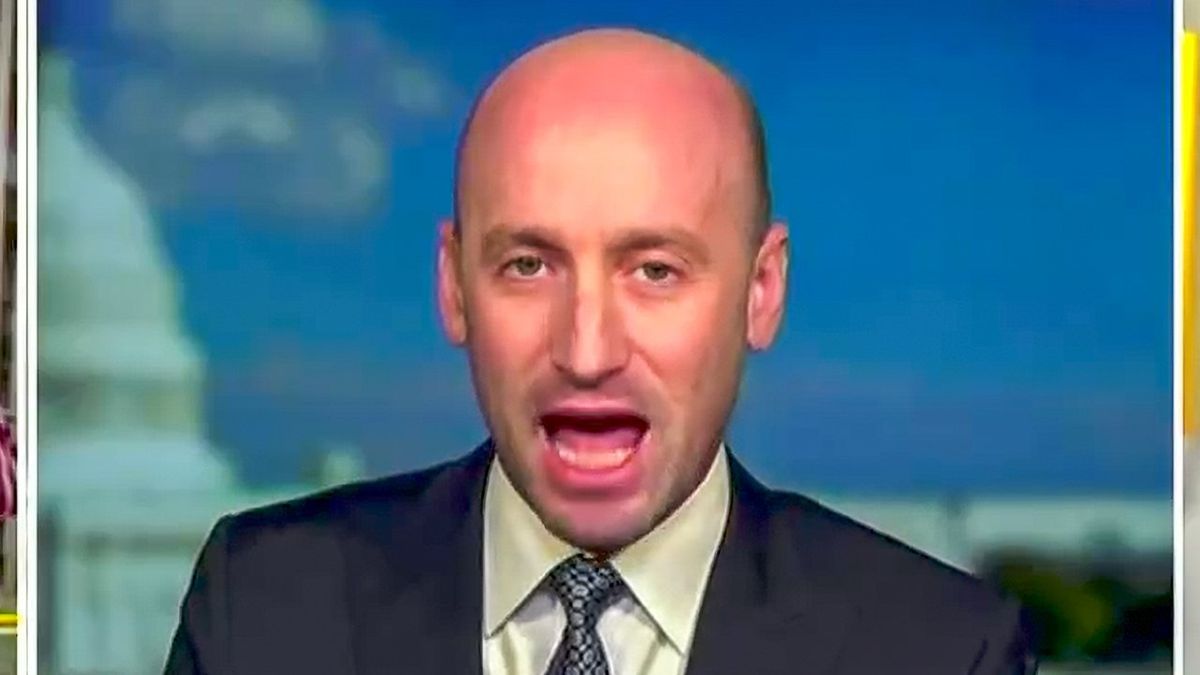 'Unconstitutional!' Stephen Miller melts down after judge blocks Elon Musk at Treasury