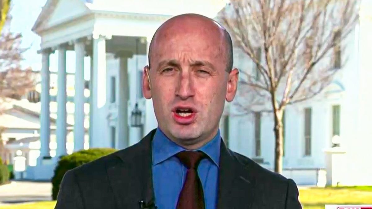 'Give you my word': Stephen Miller promises Musk can be trusted with unfettered IRS access