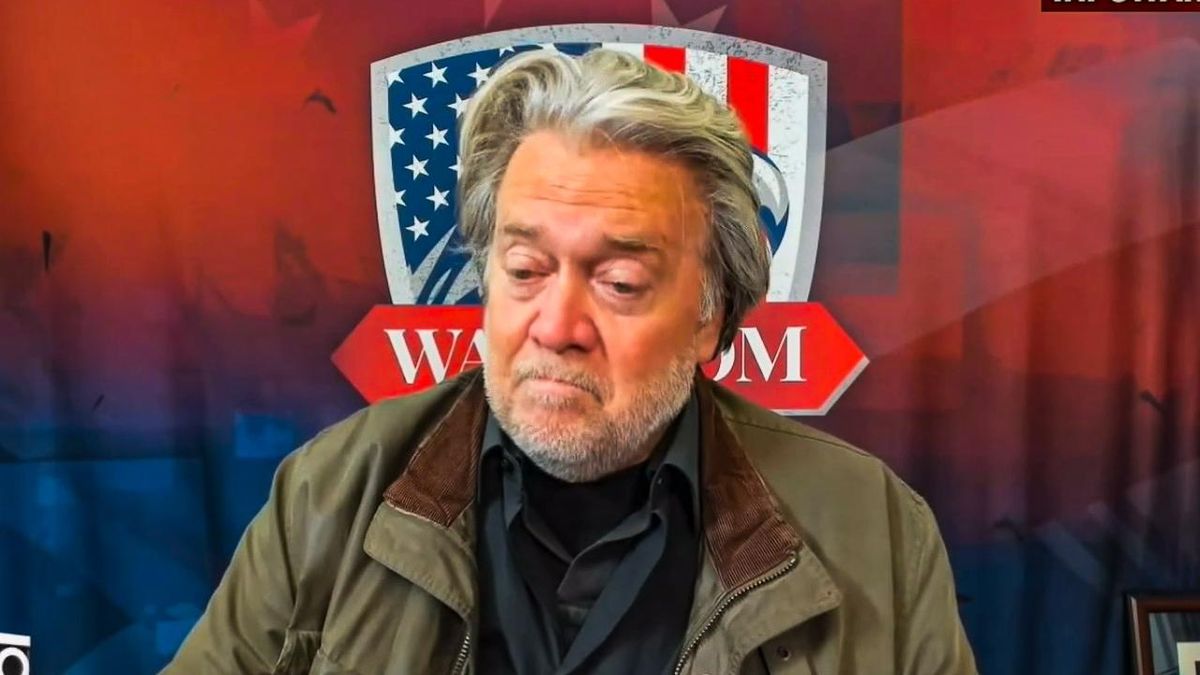 'It was right there in our grasp': Steve Bannon blames 'fraud' after failing to win 100 seats