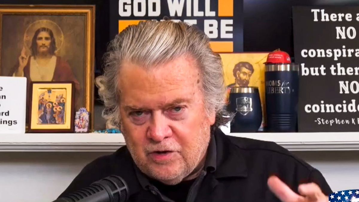 'There's no fraud': Steve Bannon says Elon Musk's DOGE cuts are a huge failure