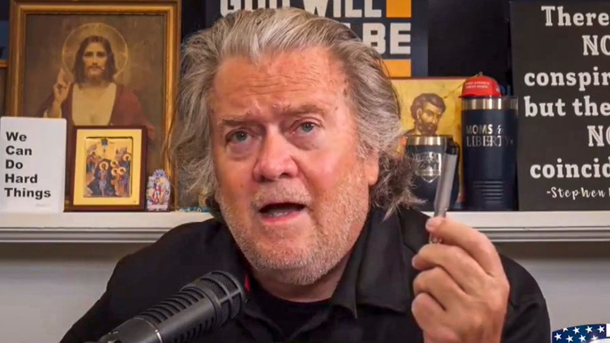 'Like a cancer': Steve Bannon says Elon Musk's DOGE has 'got to be cut out'