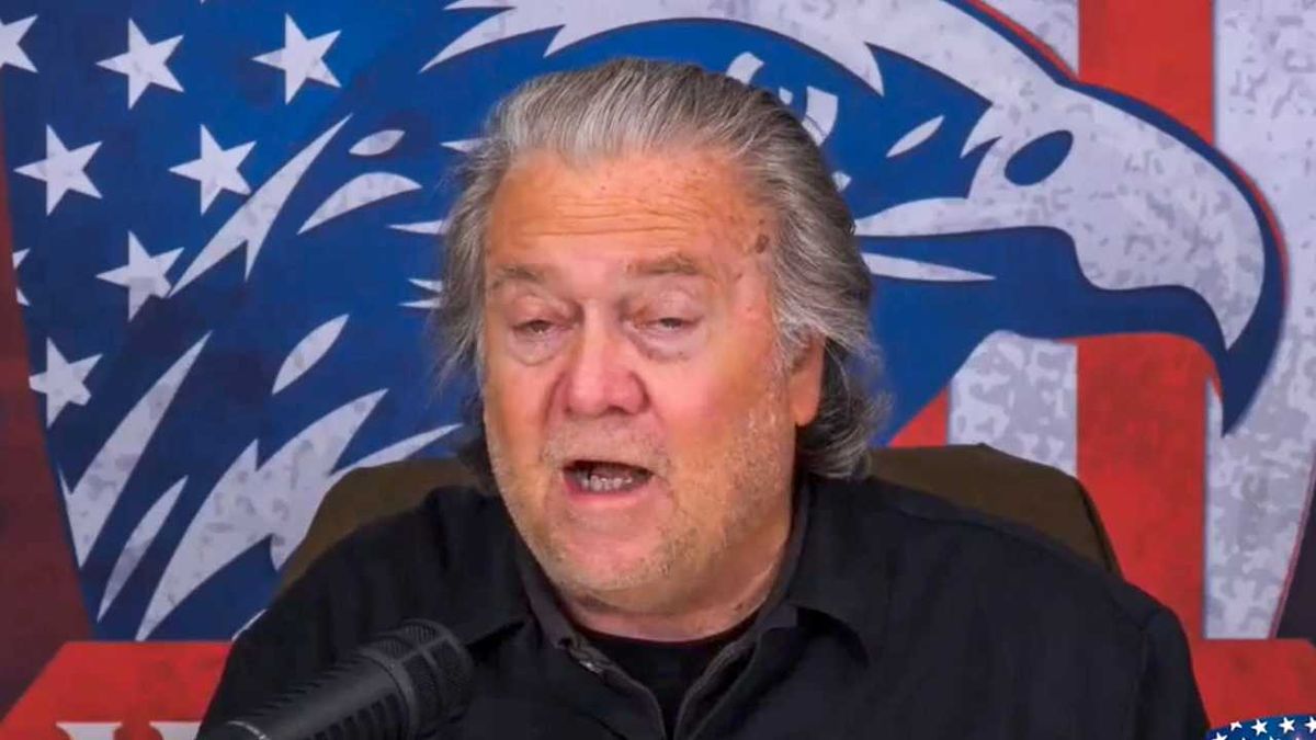 'Outrageous!' Steve Bannon in tailspin over German push to ban 'repeat of Nazism'