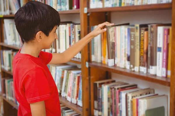 Oklahoma Supreme Court rejects Education Department’s attempt to ban books
