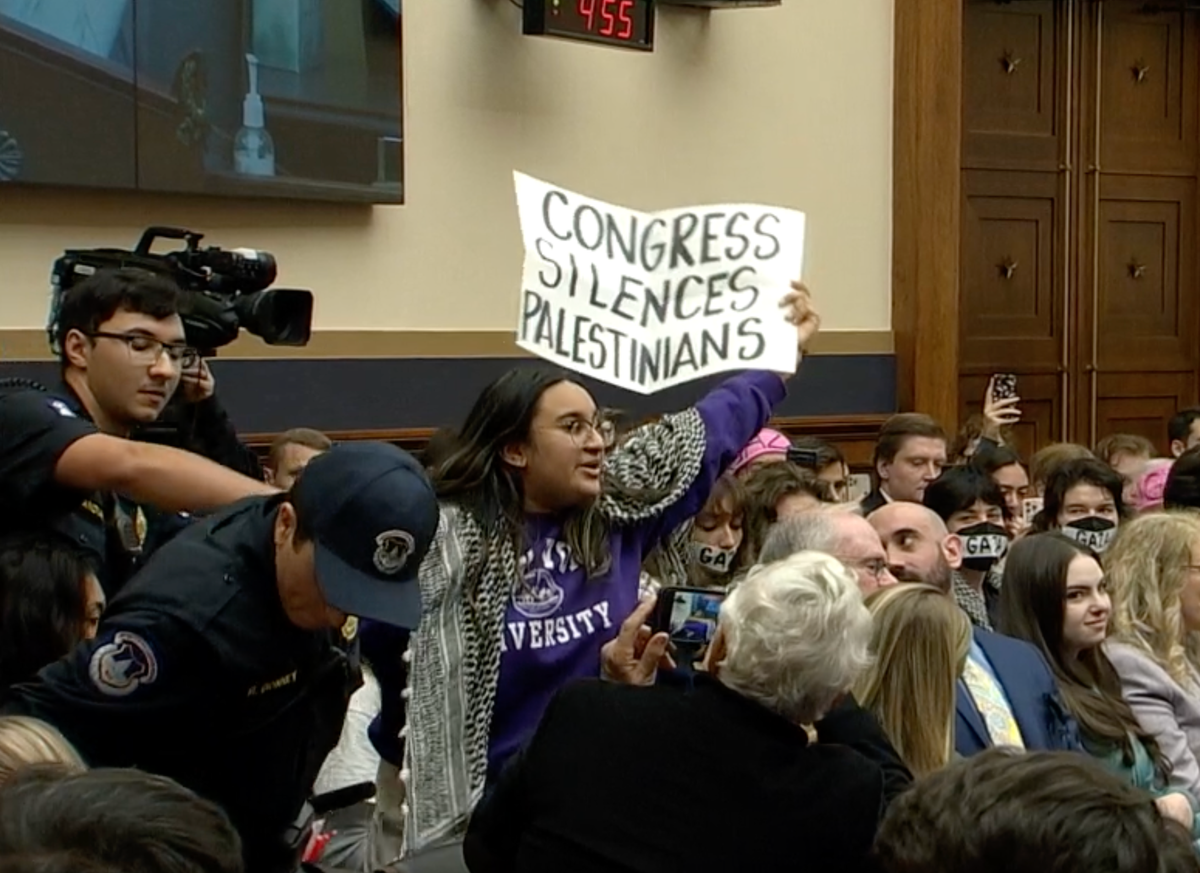 Watch: Screaming students dragged from hearing committee on college campus free speech
