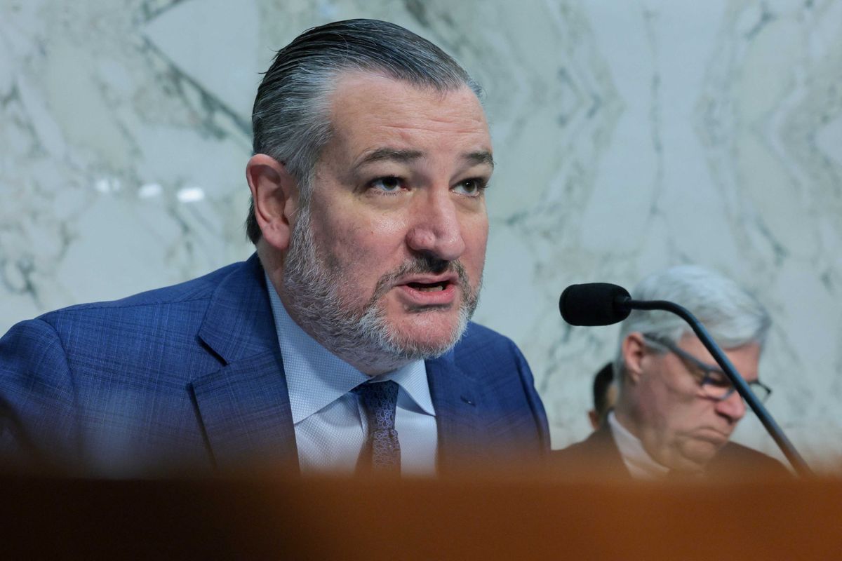 TMZ shames Senate Republicans fleeing DC without TSA deal