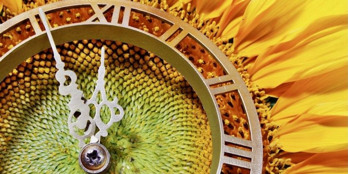 How nature can alter our sense of time