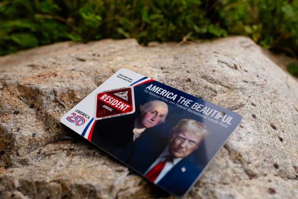 National Park rangers told to toss passes without Trump's face in the trash: reporter