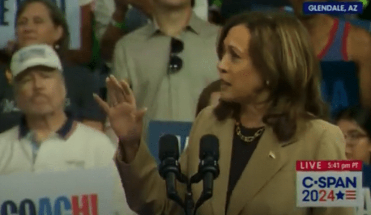 Thunderous applause as Harris pauses speech to address protests — and call for ceasefire