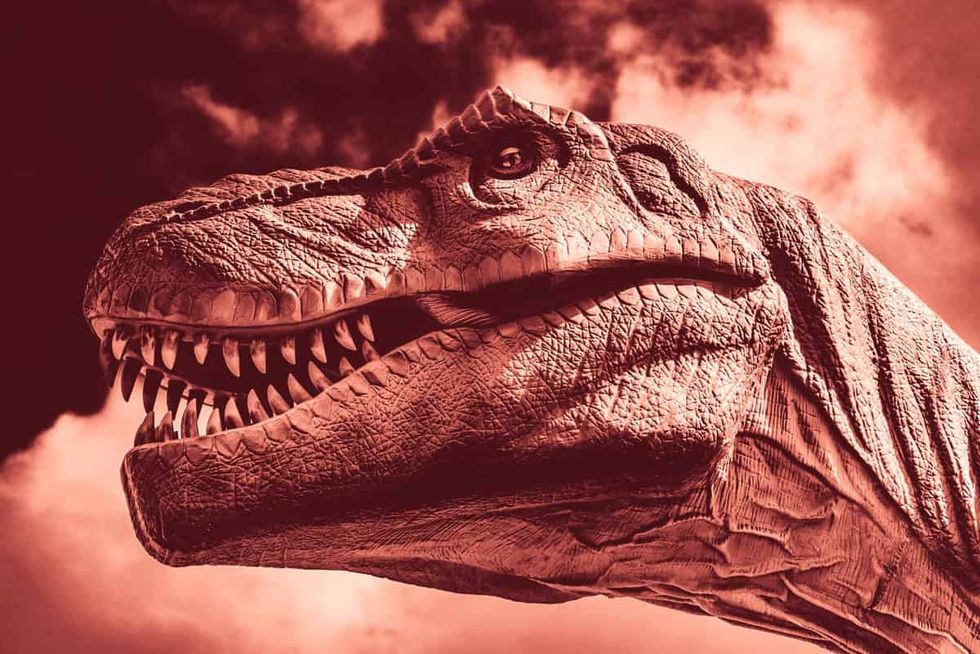T. Rex wasn’t that smart. Its intelligence was more on par with a large crocodile