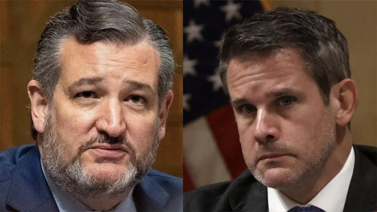 'Not the kind of country I want to live in': Adam Kinzinger bashes Ted Cruz's proposal to stop school shootings