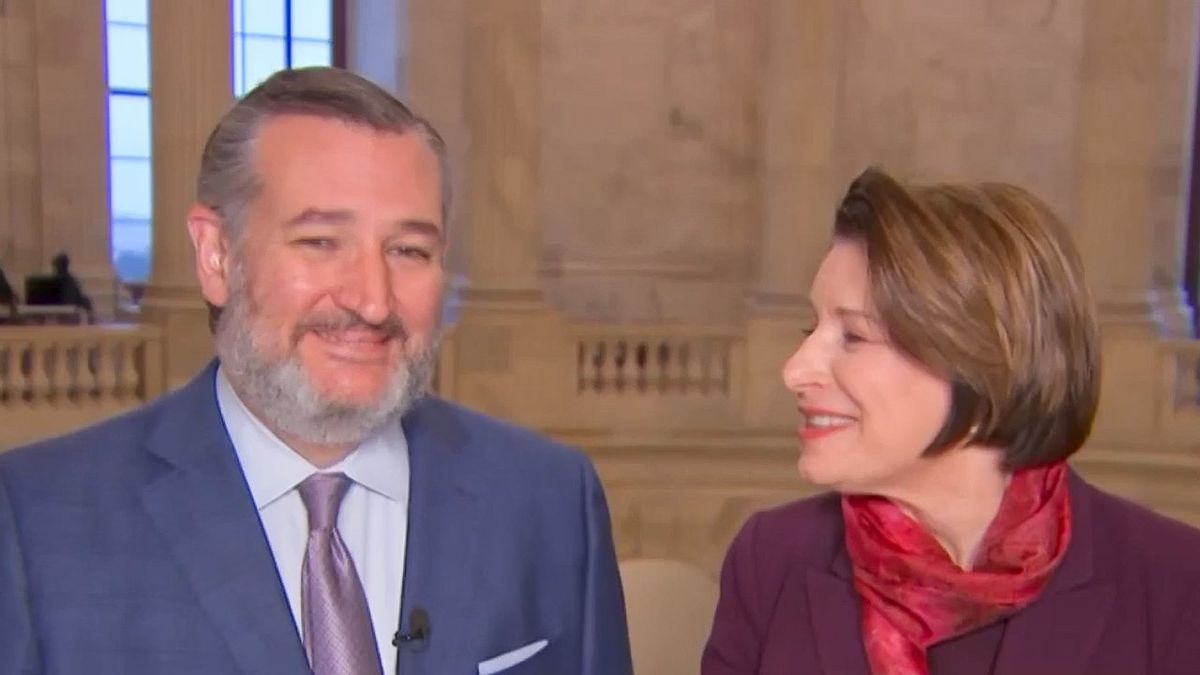 'Stop!' Amy Klobuchar scolds Ted Cruz as he interrupts her on live TV