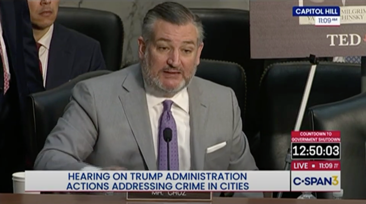 'Stop attacking pedophiles!' Ted Cruz appears to make awkward gaffe during Senate hearing