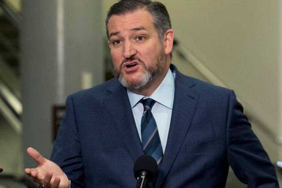Ted Cruz and Josh Hawley mocked as anti-capitalists after pledge to bring down companies they're miffed at
