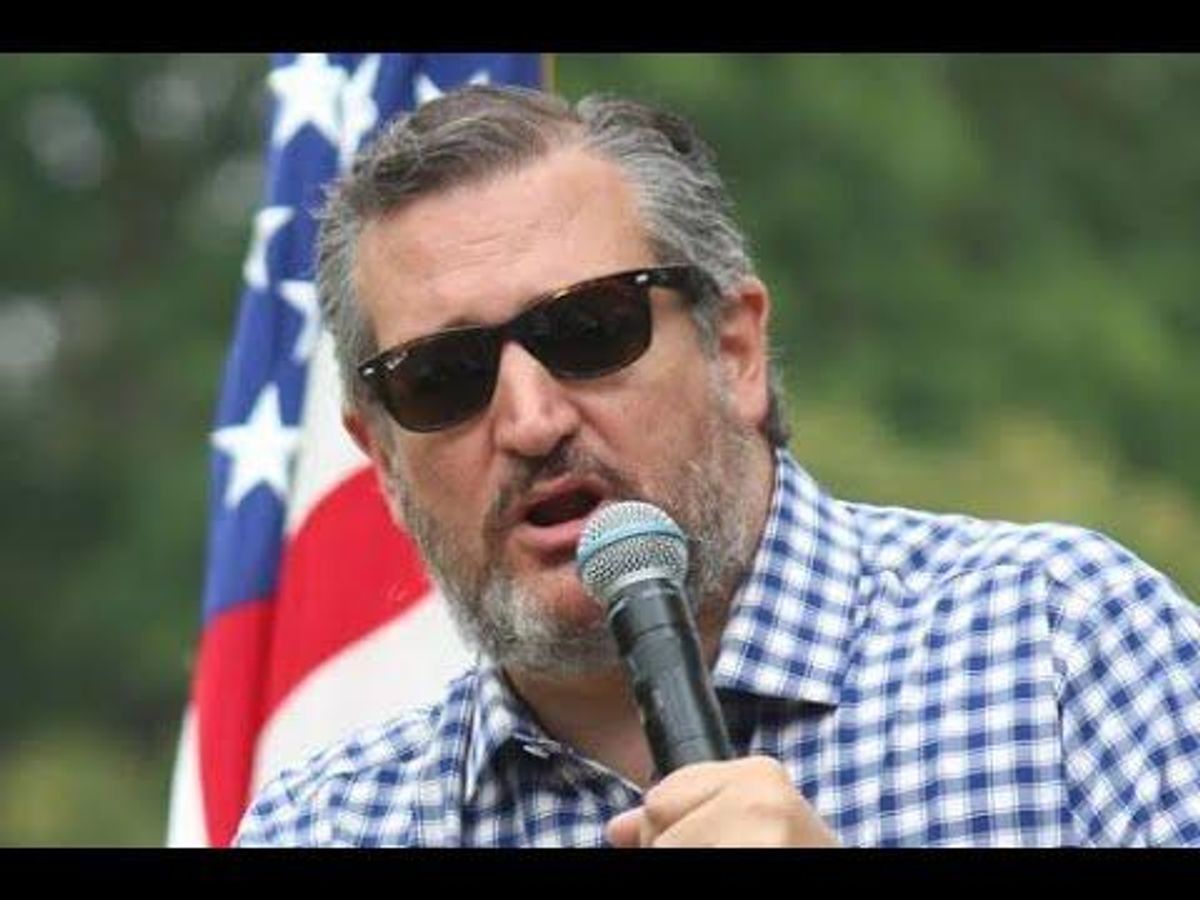 Ted Cruz is 'pandering to the worst kind of bigotry' with his latest crusade: CNN analyst