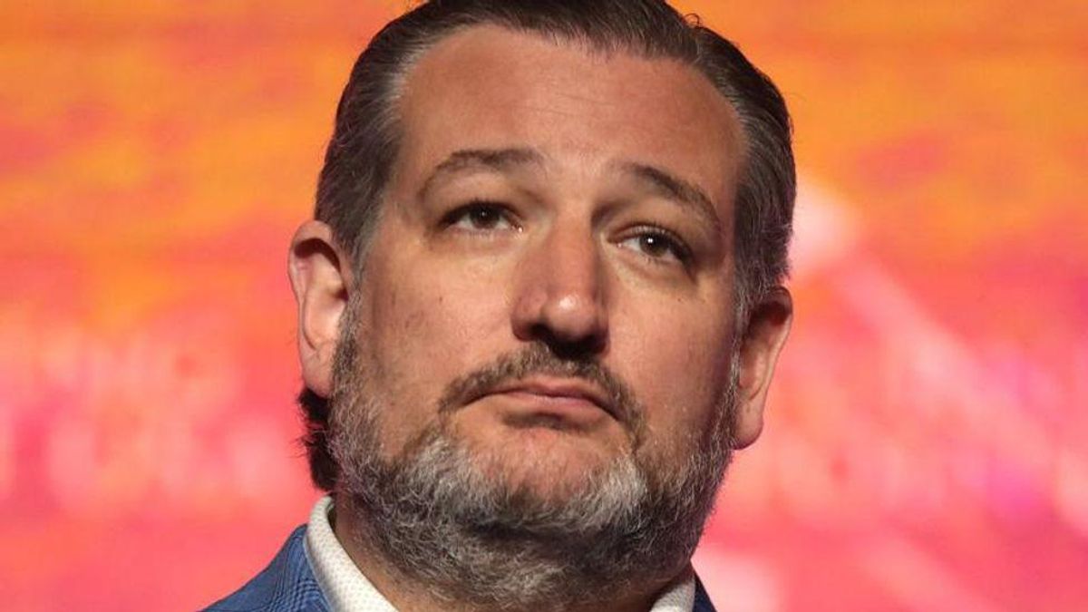 ‘Living refutation of manly virtue’: Ted Cruz mocked for claiming ‘nobody is banning’ critical race theory