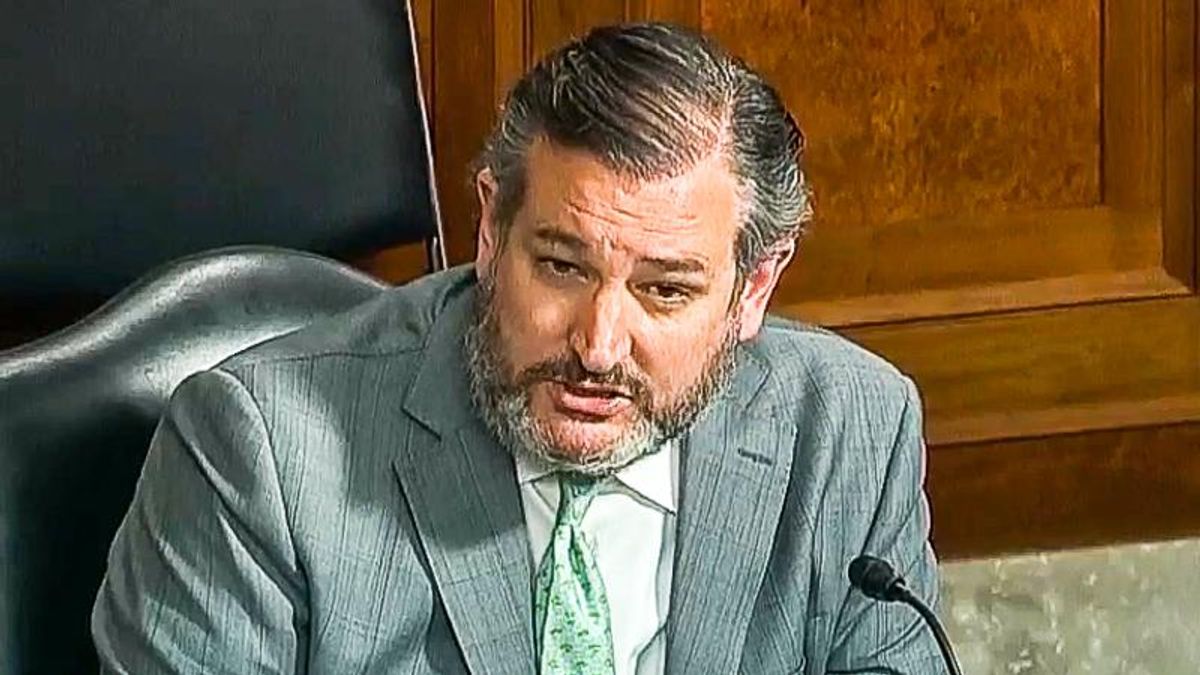 Ted Cruz grandstands at insurrection hearing: 'Hindsight is different than things done in the moment'