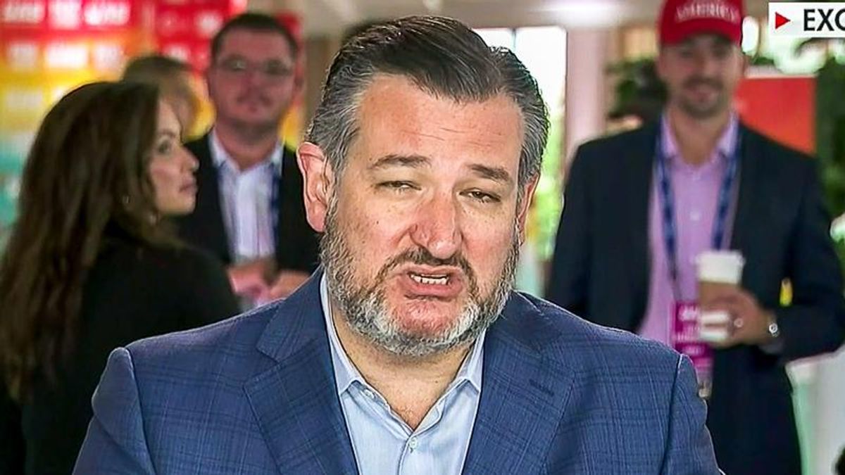 Ted Cruz compares Joe Biden to Nazi 'stormtroopers' for fighting COVID lies on social media