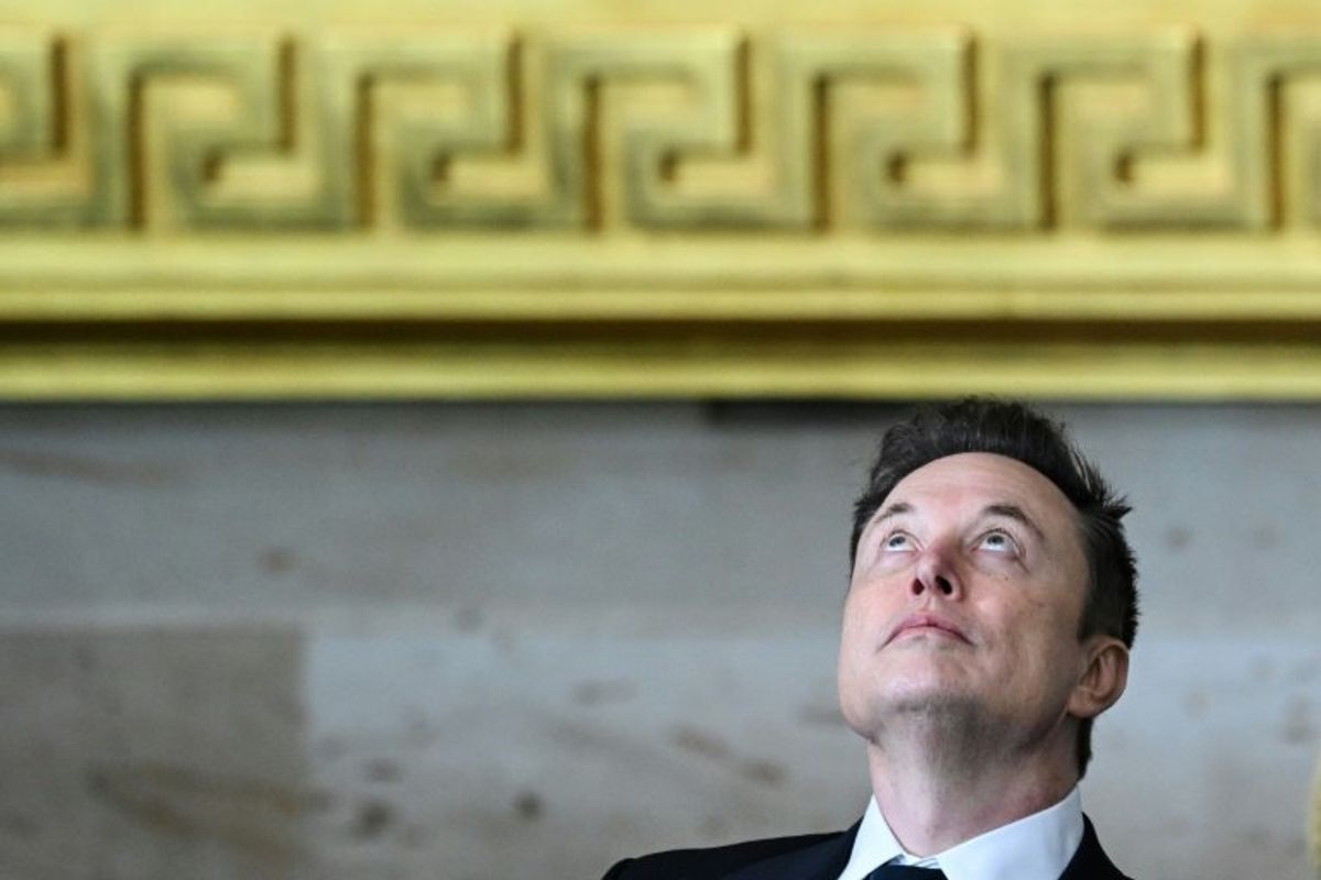 Musk's US government 'takeover' sounds alarm bells