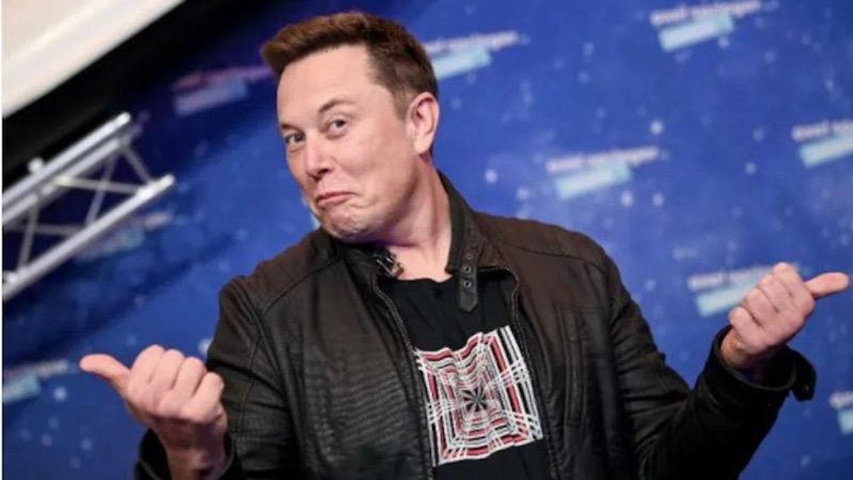 'How toddlers behave': Elon Musk's profane meltdown torched on CNN