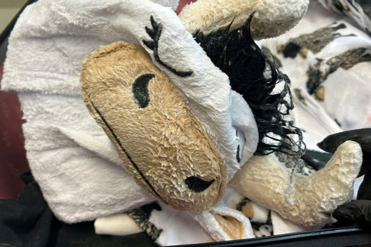 Alleged smuggler had meth-soaked cow onesie in suitcase: U.S. officials