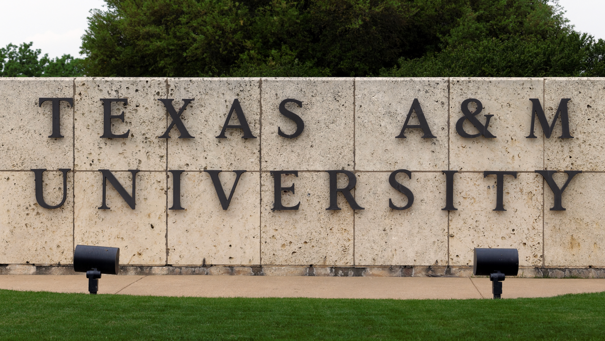 'DEI hysteria': Texas A&M backtracks on hiring 'superb' Black dean after conservative backlash
