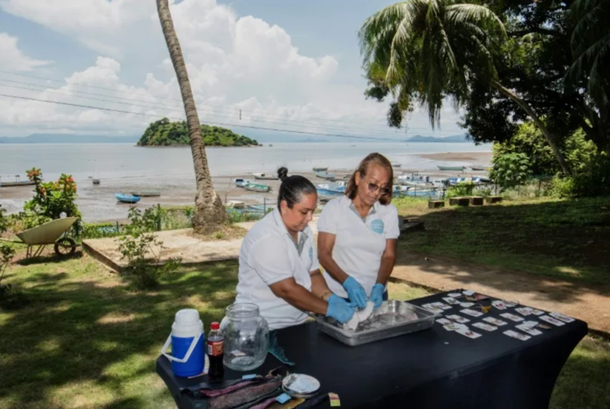 Carpe diem: the Costa Rican women turning fish into fashion